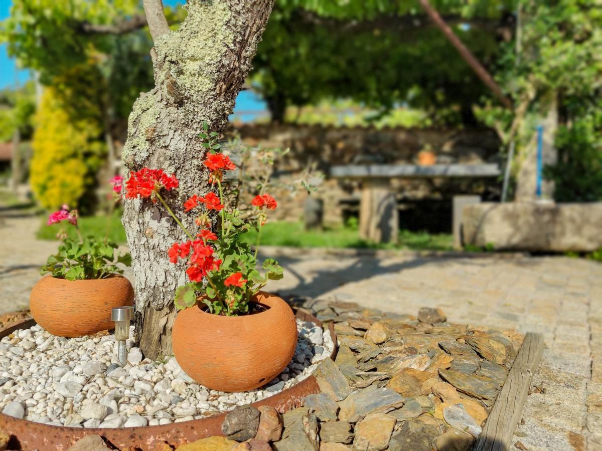 Casa Do Casal - Country House With Swimming Pool Viana do Castelo Ngoại thất bức ảnh
